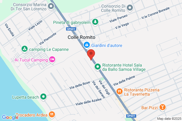Todis - Supermercato (Ardea - Via delle Pinete)
