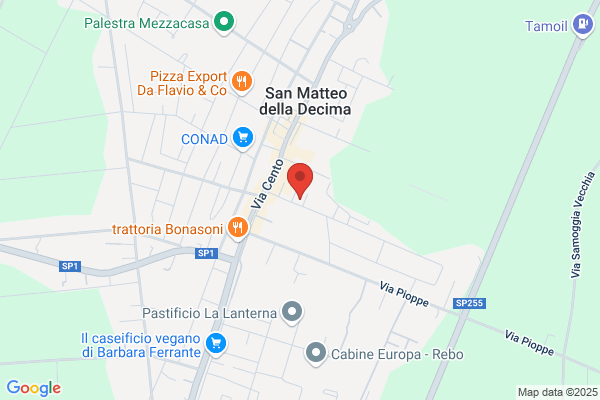 Mazzoni flavio (Geom.)