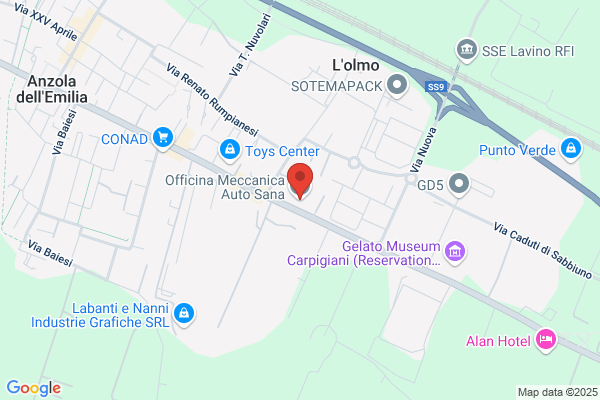 Officina Auto Sana Srl