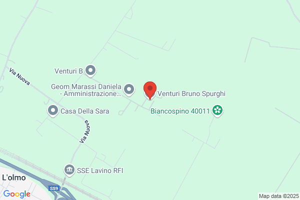 Venturi Bruno Spurghi