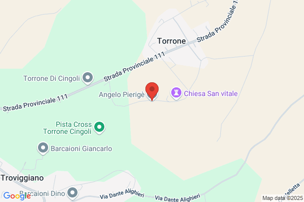 Pittori Angelo