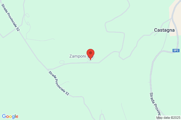 Zamponi domenica