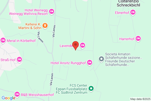 Pensione Waldhof%pension Waldhof
