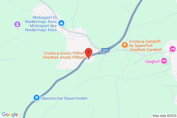 Pichler Mayr anna