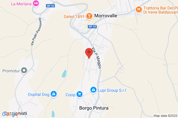 D.B.A. Disinfestazioni e derattizzazioni