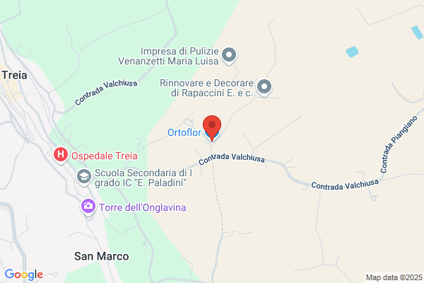 Ortoflor
