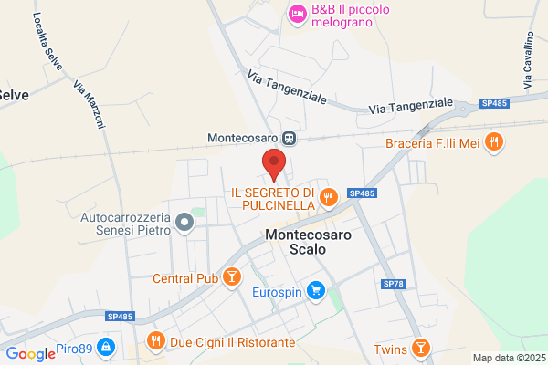 Elettrocosaro