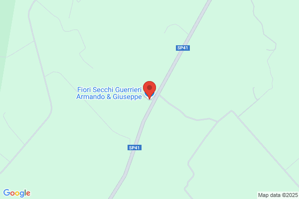 Guerriero Armando