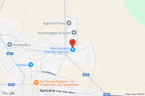 O.M.P. Officine Meridionali Pompe Di Santarelli Antonio