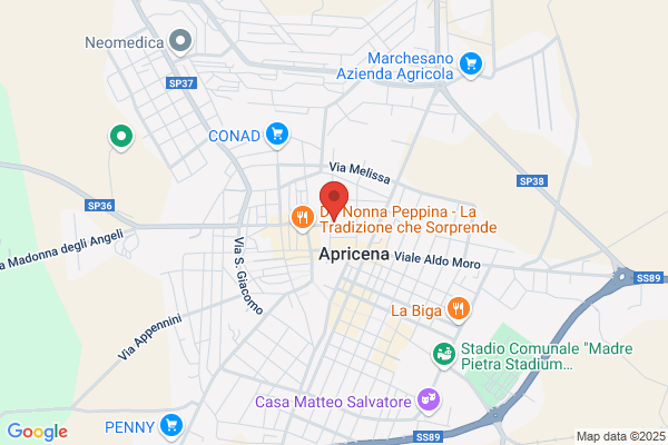 Saps Linee Nazionali E Internazionali