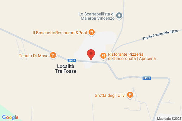 Apricena Service