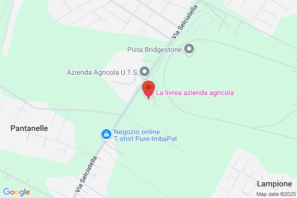 Semmola annamaria