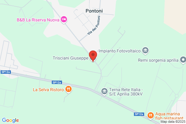 Trisciani giuseppe