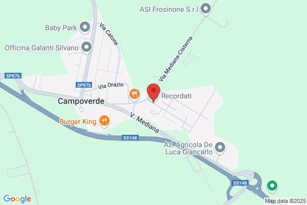 Recordati Spa