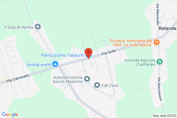 Paniccia dino