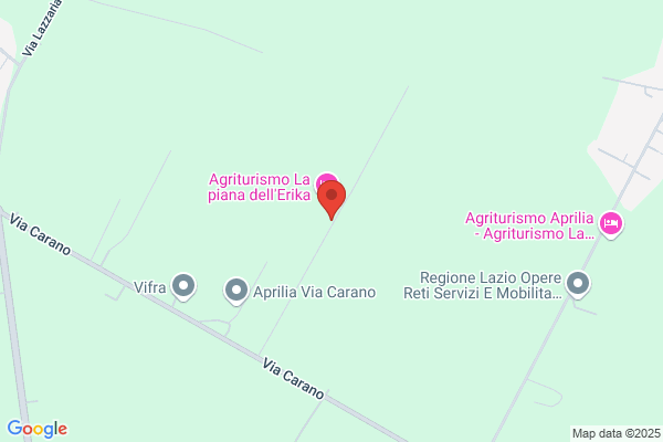 Scaraglino leonardo (Geom.)
