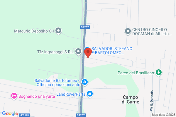 Fabbro Cesarini Luciano