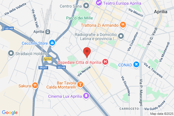 Trasporti Treiani Srl