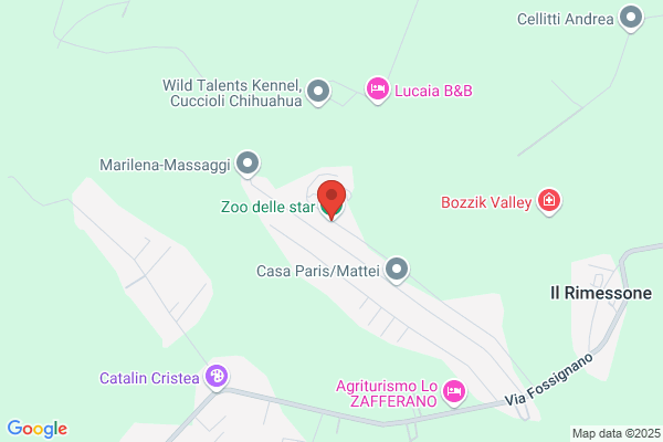 Xzoo Di Mazzoni Fabio