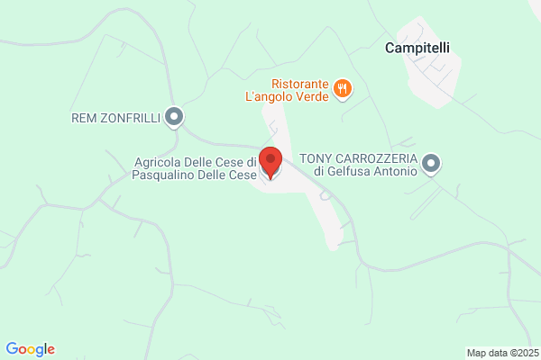 Delle Cese Pasqualino