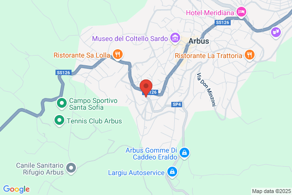 ITALIANA ASSICURAZIONI Arbus