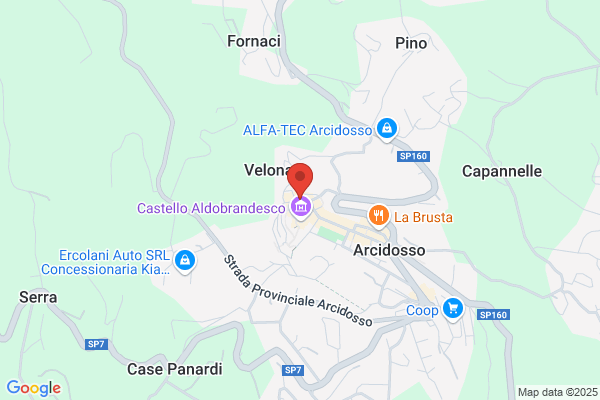 Toninelli Assicurazioni Srl