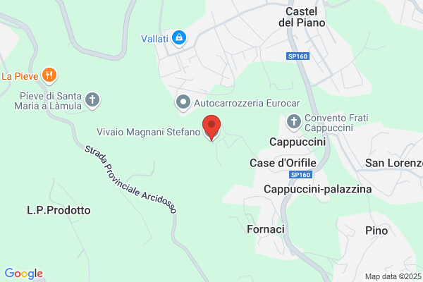 Vivaio Magnani