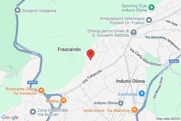 Macecchini carlo (Geom.)