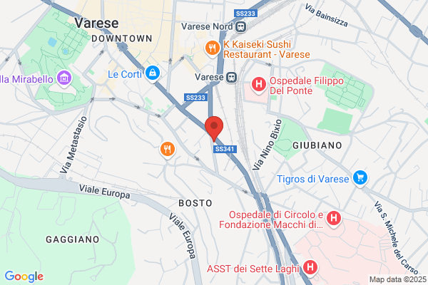 Ristorante Cinese Giardino Fengze