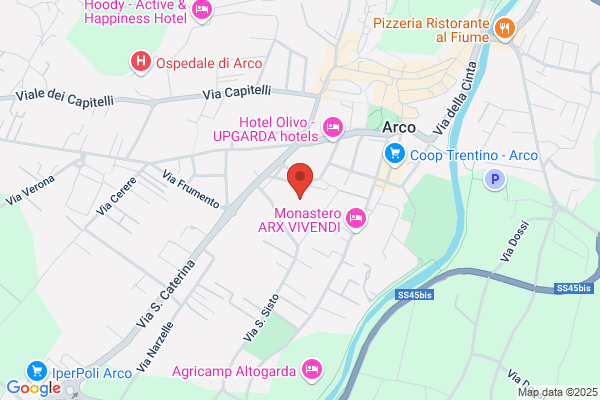 Comitato Gran Carnevale Di Arco