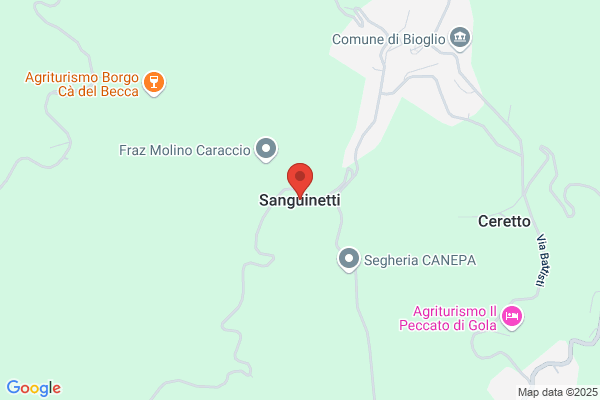 Sanguinetti sandro