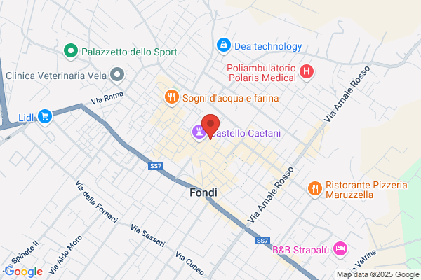 Vivaio Evergreen