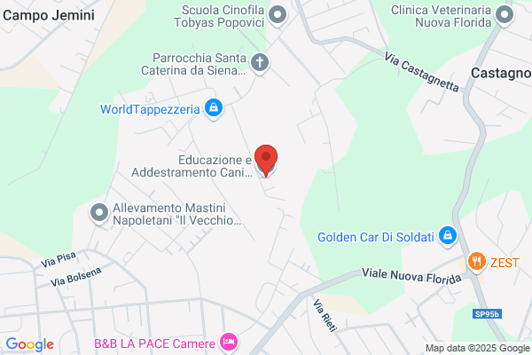 Educazione e Addestramento Cani Centro Cinofilo Dinamic Dog A.S.D.