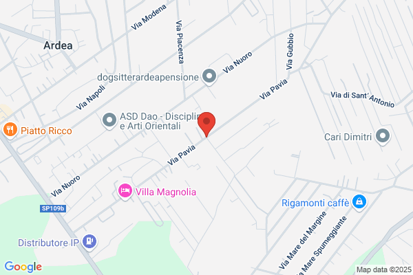 Auto Spurgo Roma