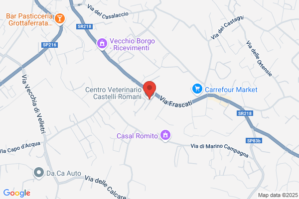 Centro Veterinario Castelli Romani
