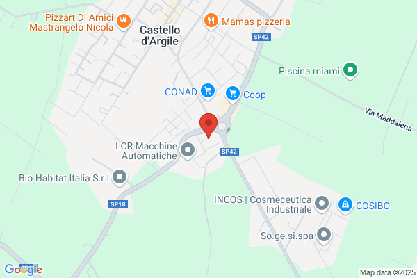 Biondi Auto S.M.
