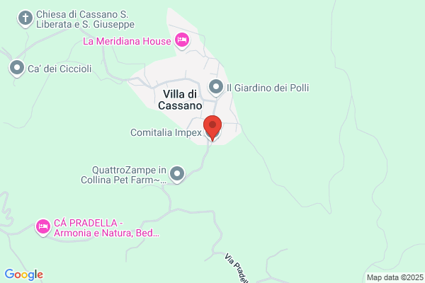 Comitalia Impex