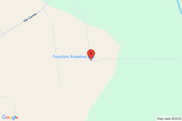 Foschini Anselmo