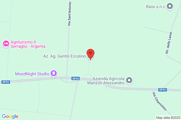 Gentili Ercolino