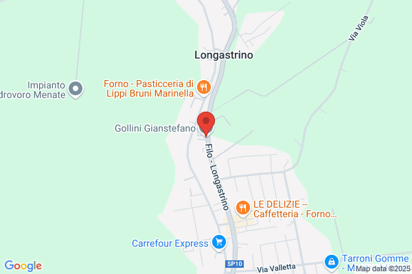 Gollini Gianstefano