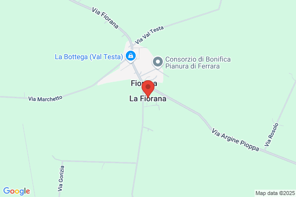 Futura 2000