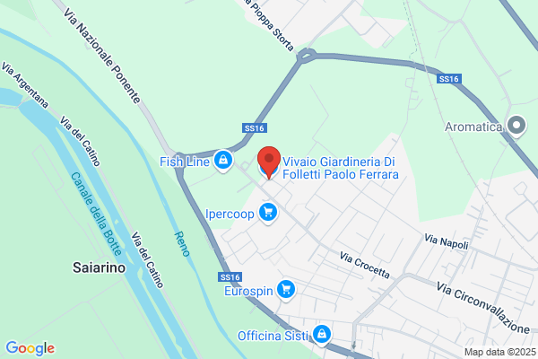 Ninfee Di Valeriani Irma