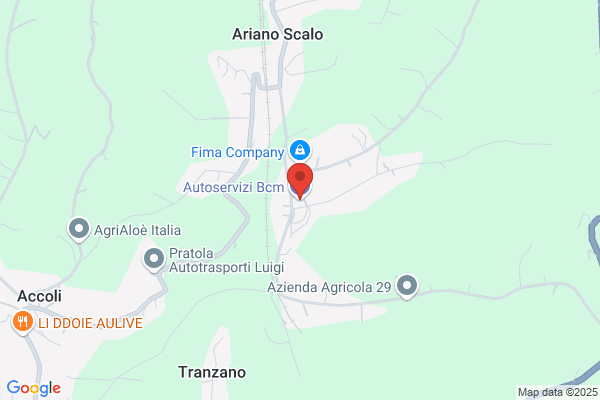 Autoservizi Bcm