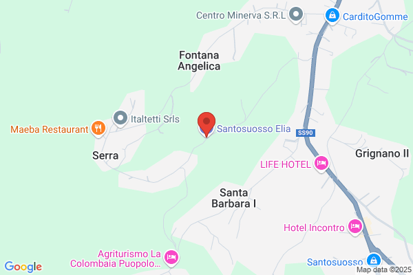 Santosuosso elia