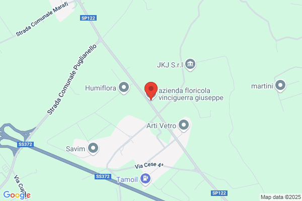 Vinciguerra giuseppe