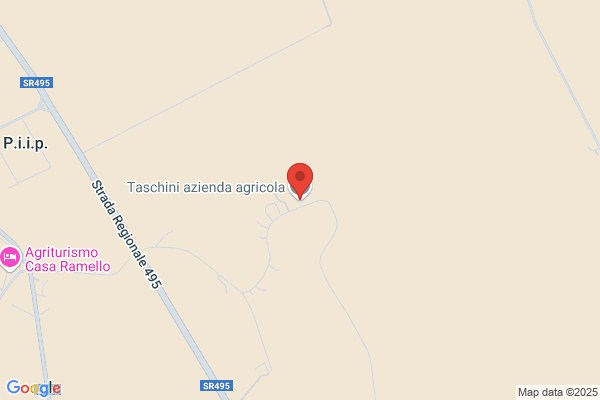 Taschini stefano