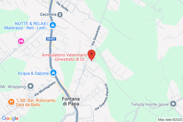 Ambulatorio Veterinario Ginestreto