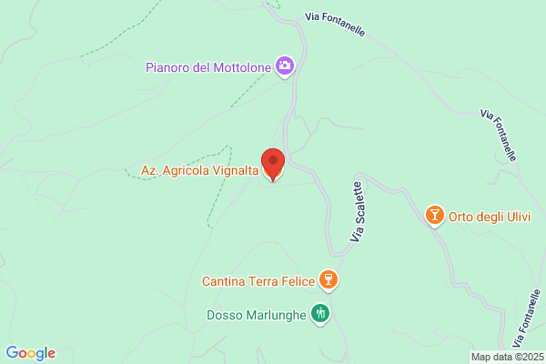 Azienda Agricola Vignalta