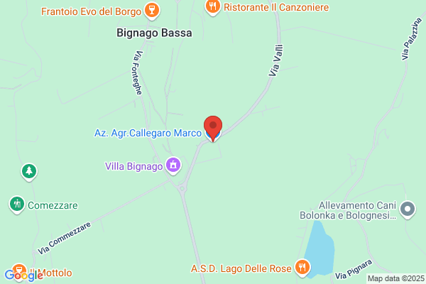 Fioreria F.Lli Berton Cav. Antonio E Dino