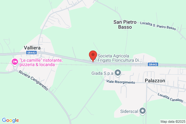 F.Lli Frigato Snc